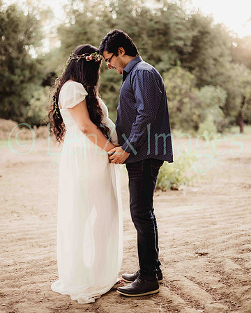 LenZx_Images-100