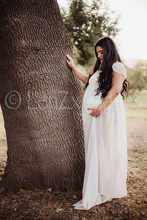 LenZx_Images-116