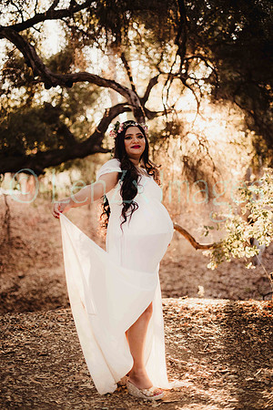 LenZx_Images-148