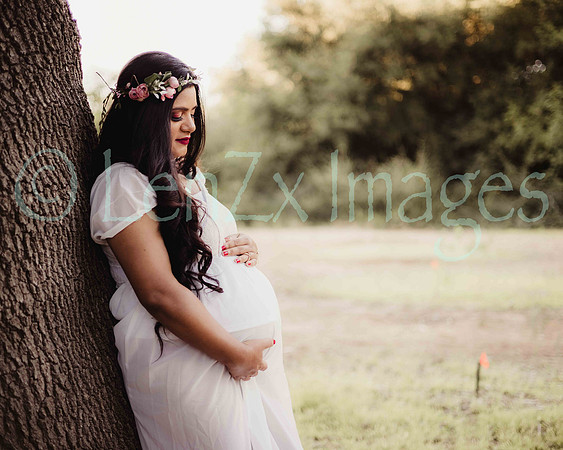 LenZx_Images-108