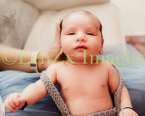 LenZx-Images-26