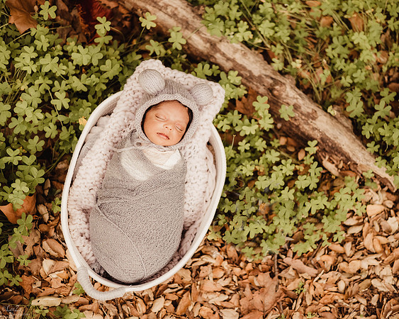 LenZx_Images-6