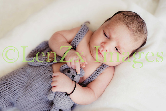 LenZx-Images-22