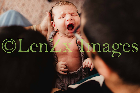 LenZx-Images-27