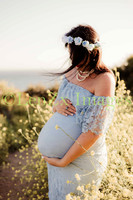LenZx-Images-6
