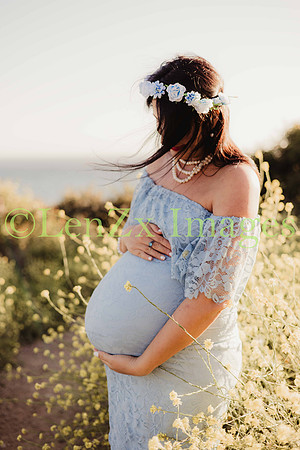 LenZx-Images-6