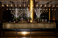LenZx_Images-4