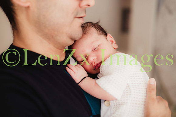 LenZx-Images-202