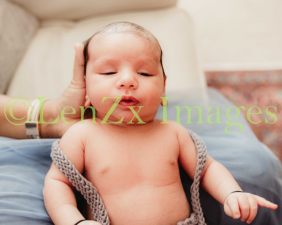 LenZx-Images-24