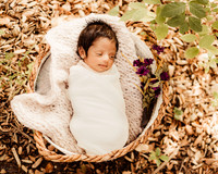 LenZx_Images-1