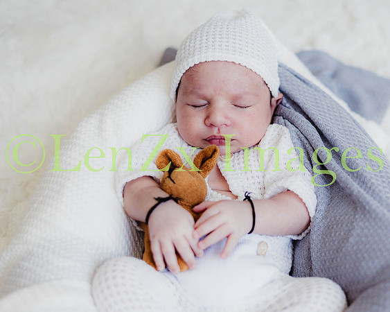LenZx-Images-237