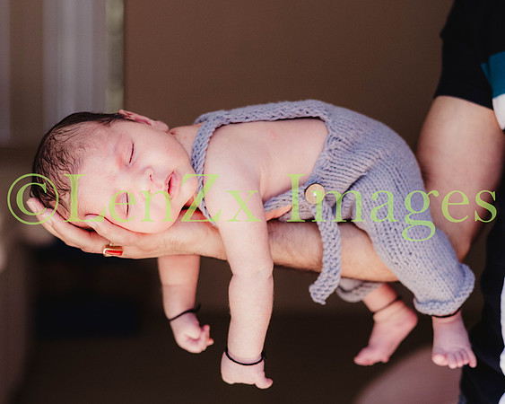 LenZx-Images-56
