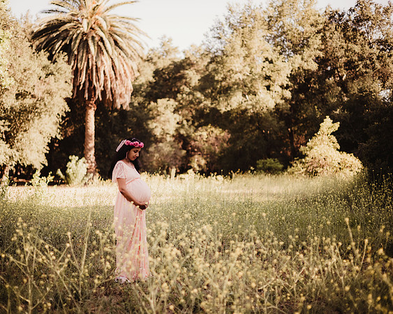 LenZx_Images-59