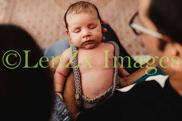 LenZx-Images-31