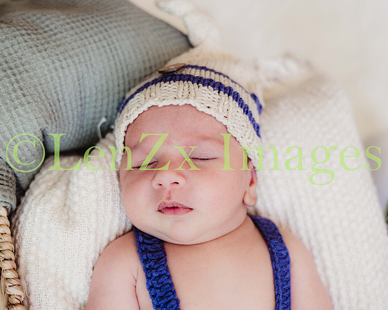 LenZx-Images-94