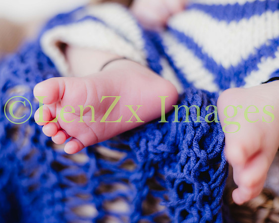 LenZx-Images-92