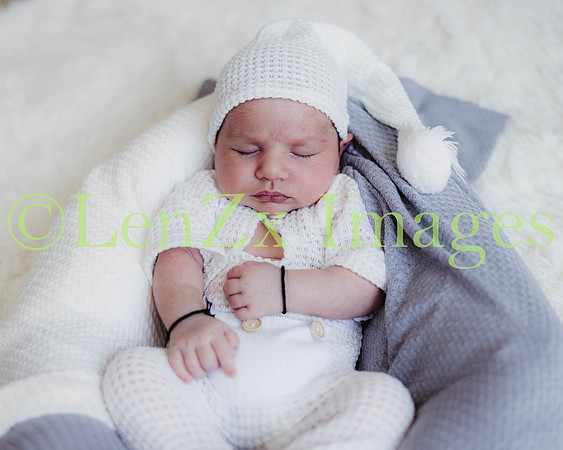 LenZx-Images-233