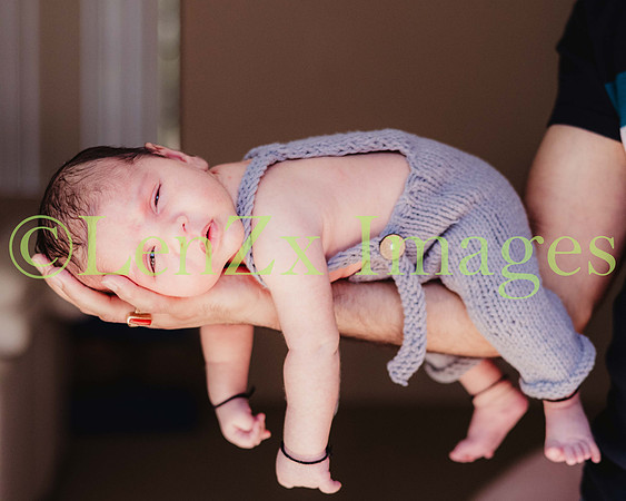 LenZx-Images-57
