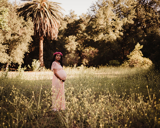 LenZx_Images-56