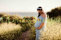 LenZx-Images-8