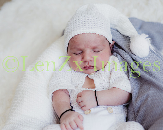 LenZx-Images-236
