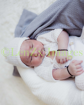 LenZx-Images-230