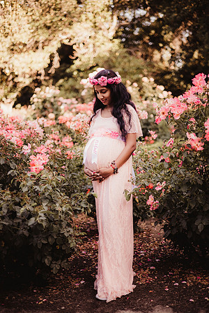 LenZx_Images-103