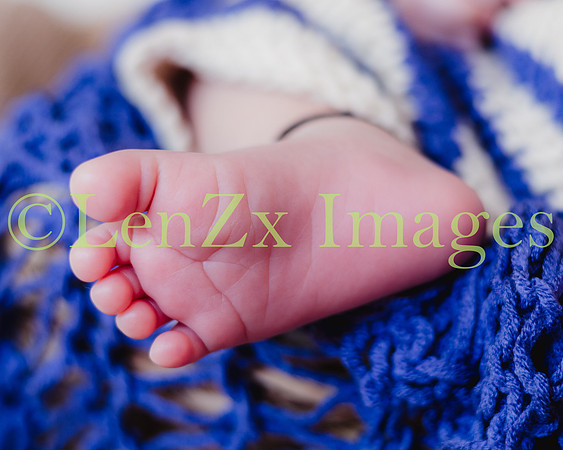 LenZx-Images-93
