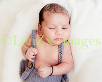LenZx-Images-9