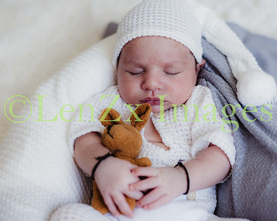 LenZx-Images-244
