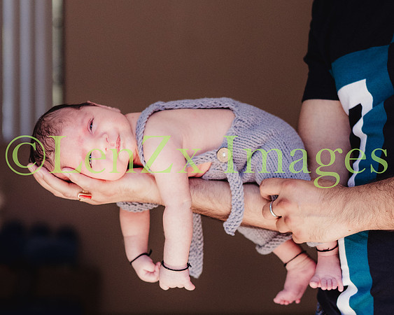 LenZx-Images-54