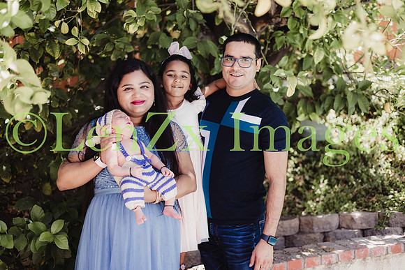 LenZx-Images-157