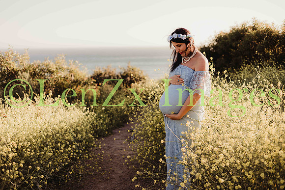 LenZx-Images-9