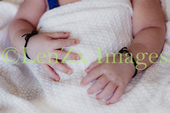 LenZx-Images-100