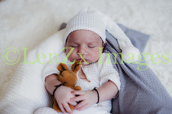 LenZx-Images-243