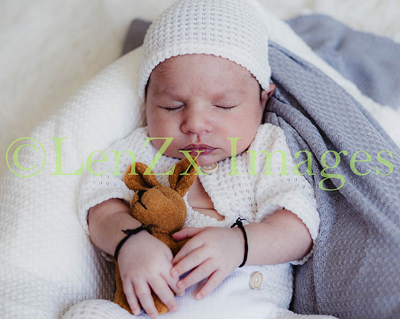 LenZx-Images-240