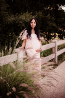 LenZx_Images-5
