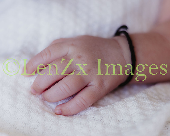 LenZx-Images-99