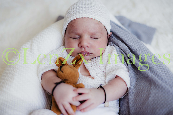 LenZx-Images-241