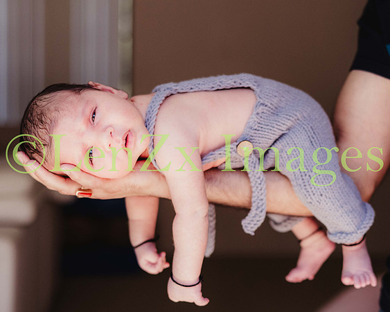 LenZx-Images-58