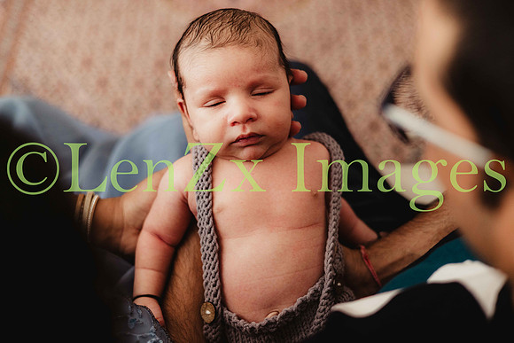 LenZx-Images-30