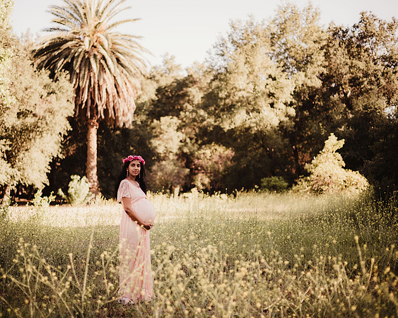LenZx_Images-57