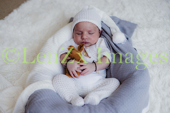 LenZx-Images-245