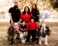 LenZx_Images-2