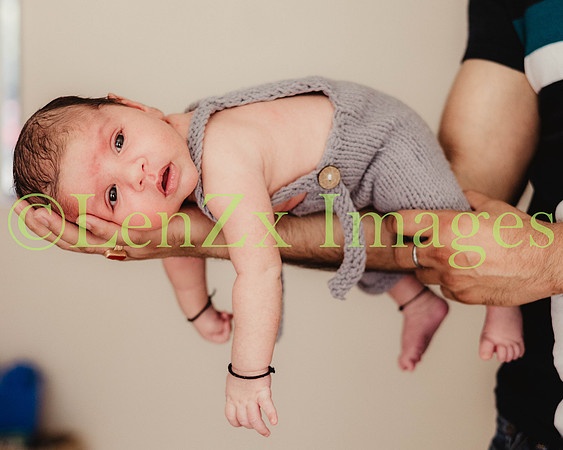 LenZx-Images-52