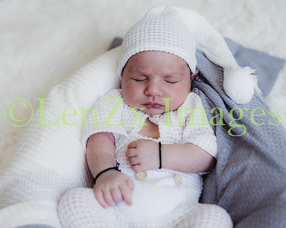 LenZx-Images-232