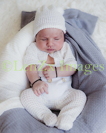 LenZx-Images-229