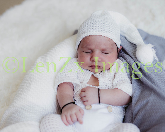 LenZx-Images-231